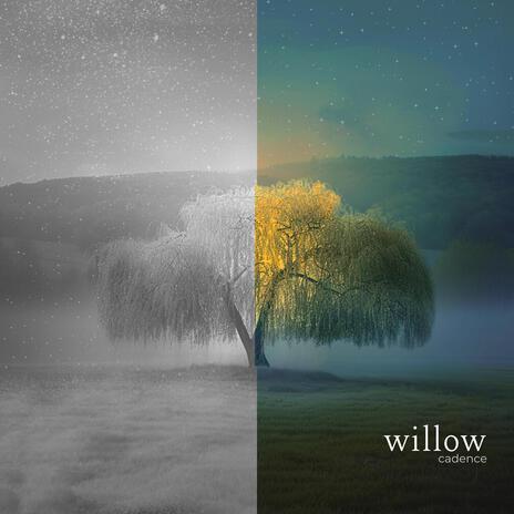 willow (instrumental) | Boomplay Music