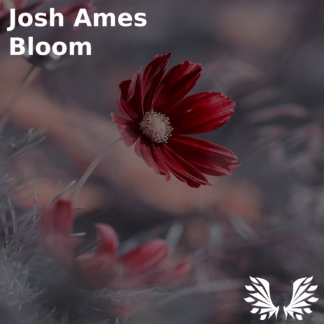 Bloom (Original Mix) | Boomplay Music