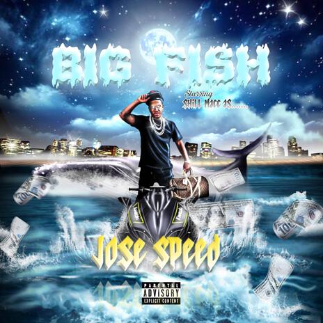 Big Fish | Boomplay Music