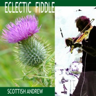 Eclectic Fiddle