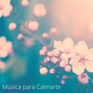 Música para Calmarte: Canciones Lentas para Calmar Tu Mente y Tu Respiración Cuando Estás Estresado