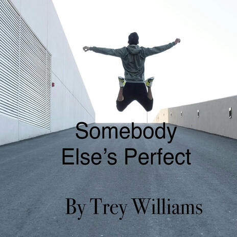 Somebody Else's Perfect | Boomplay Music