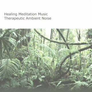 Healing Meditation Music