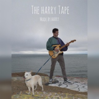 The Harry Tape