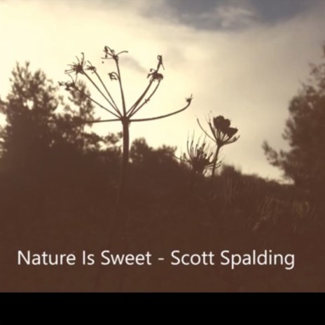 Nature is Sweet | Boomplay Music