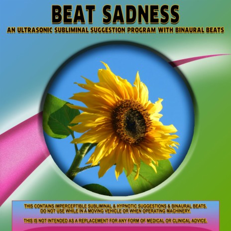 Beat Sadness | Boomplay Music