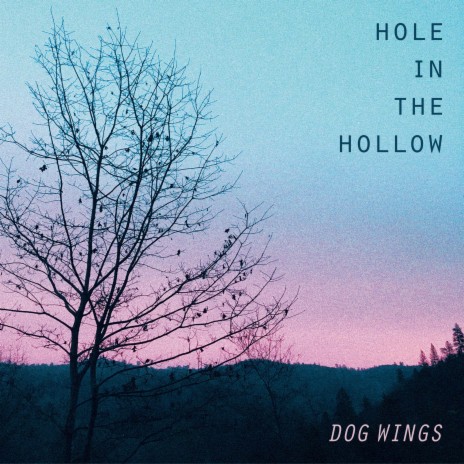 Hole in the Hollow