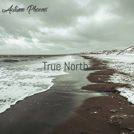 True North | Boomplay Music