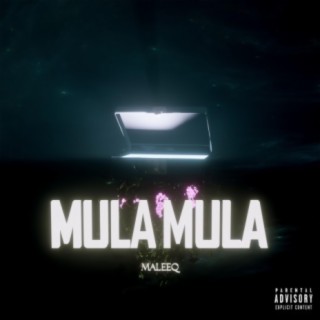 Mula Mula