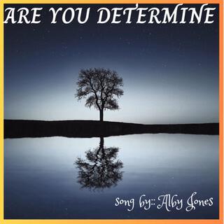 ARE YOU DETERMINE lyrics | Boomplay Music