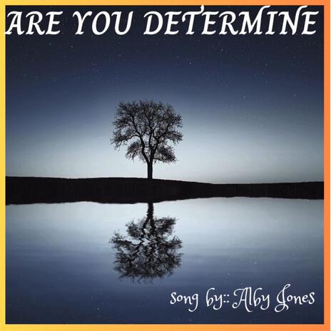 ARE YOU DETERMINE | Boomplay Music