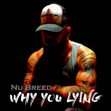 Why You Lying | Boomplay Music