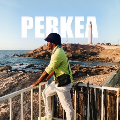 Perkea | Boomplay Music