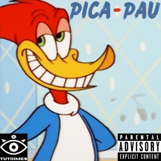 Pica-Pau