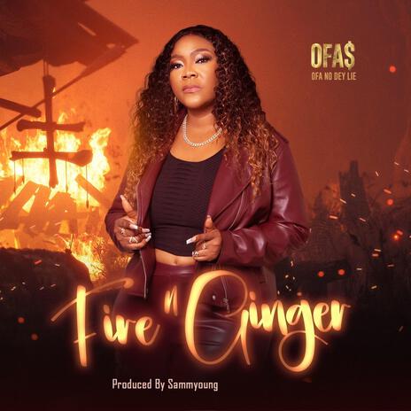 Fire n Ginger | Boomplay Music