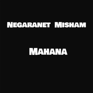 Negaranet Misham