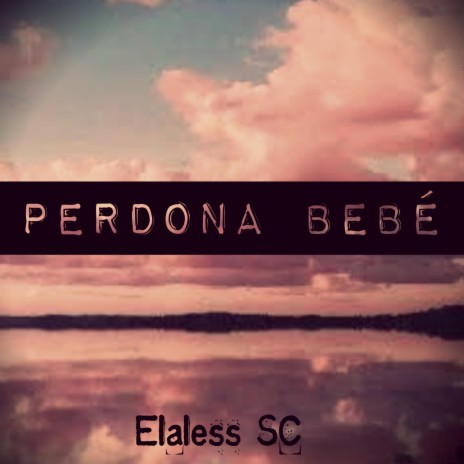 Perdona Bebé | Boomplay Music