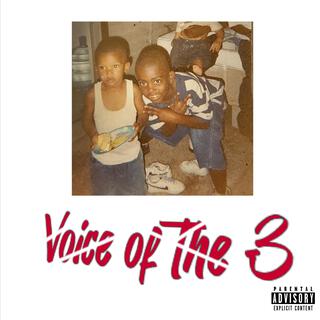 Voice Of The 3