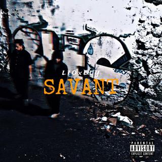 Savant