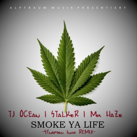 Smoke Ya Life (Synapsen Ingo Remix) ft. TJ Ocean & Mr Haze | Boomplay Music