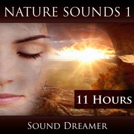 River Sounds (1 Hour)