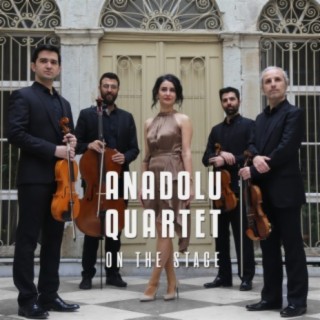 Anadolu Quartet