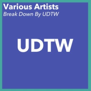 Break Down By UDTW