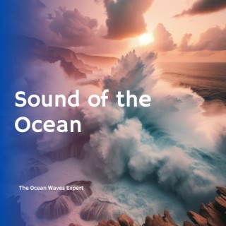 Sound of the Ocean