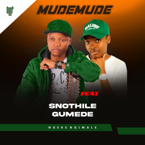 Ngeke Ngimale ft. Snothile Gumede