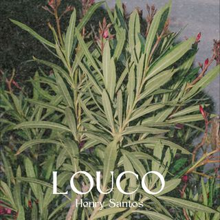 Louco