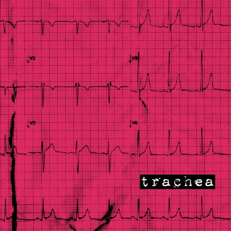 Trachea | Boomplay Music