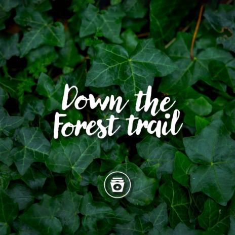 Forest Rain | Boomplay Music