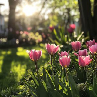 Sunny April Morning