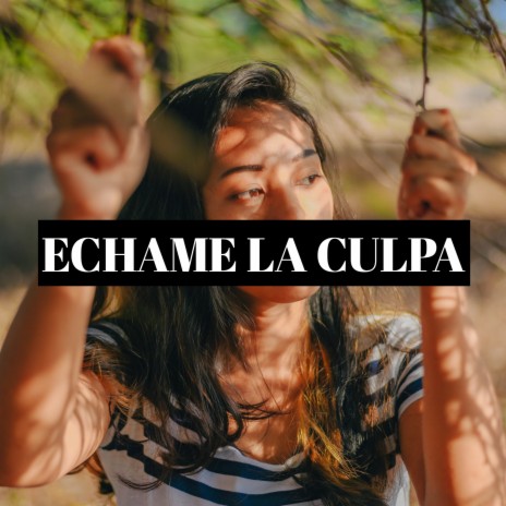 Echame La Culpa | Boomplay Music