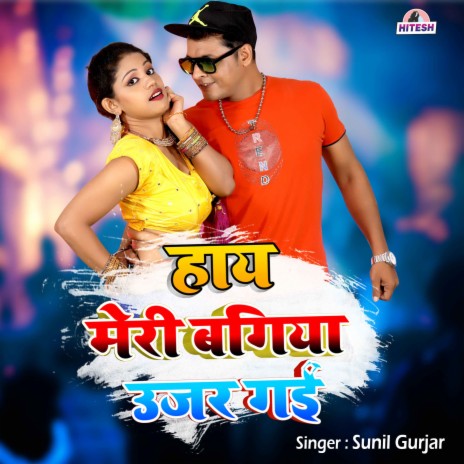 Haye Meri Bagiya Ujar Gai | Boomplay Music