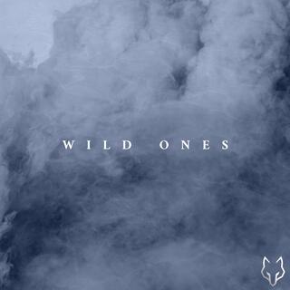 WILD ONES