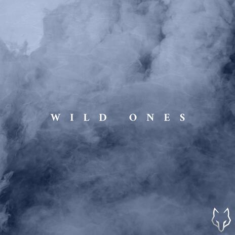 WILD ONES | Boomplay Music