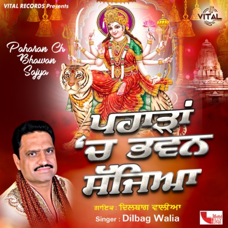 Bhawana Ch Hai Maa Wasdi | Boomplay Music