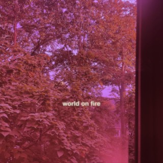 World On Fire