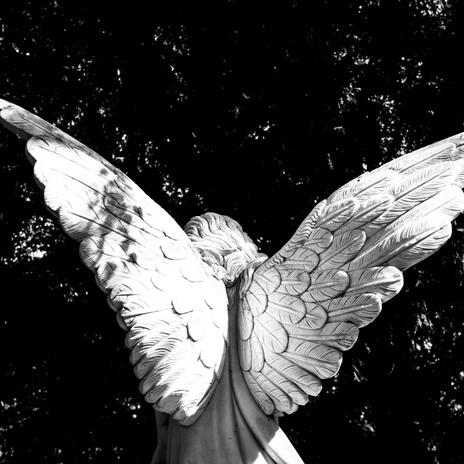 Angels | Boomplay Music