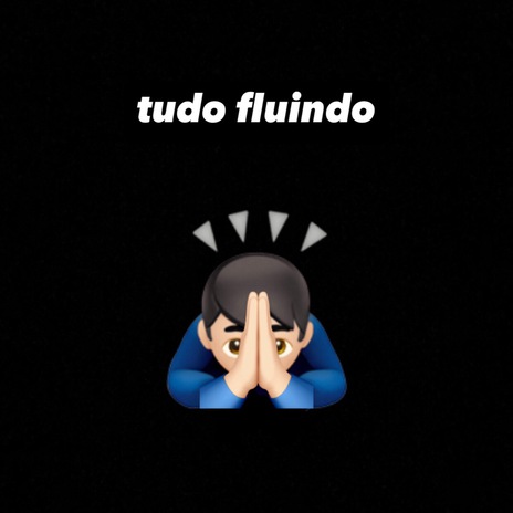 TUDO FLUINDO | Boomplay Music