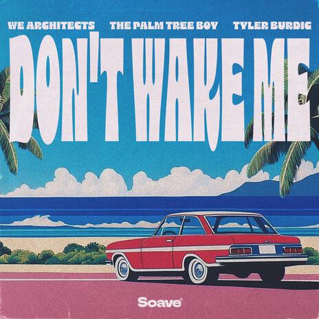 Don't Wake Me ft. The Palm Tree Boy & Tyler Burdic | Boomplay Music