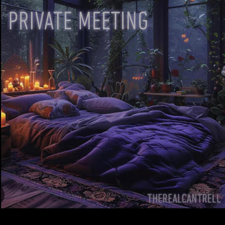 Private Meeting | Boomplay Music