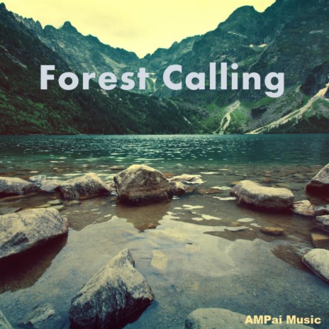 Forest Calling | Boomplay Music