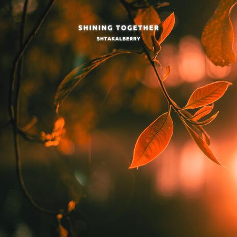 Shining Together | Boomplay Music