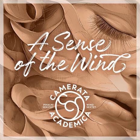 A Sense of the Wind | Boomplay Music