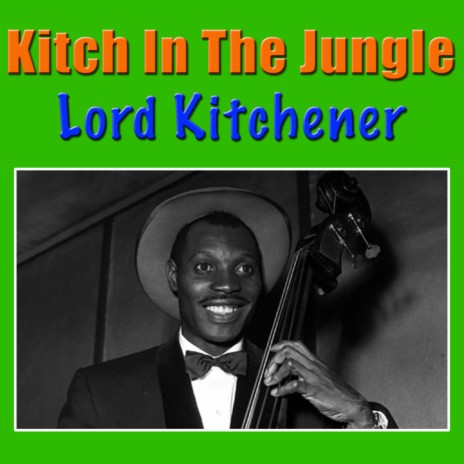 Kitch In The Jungle | Boomplay Music