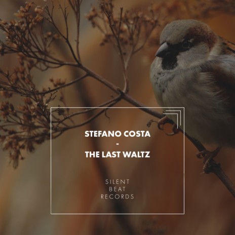 The Last Waltz | Boomplay Music