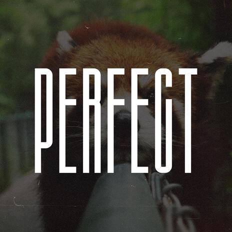 Perfect (Melodic Drill Type Beat) | Boomplay Music