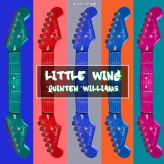 Little Wing